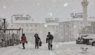 Van’da Kış Manzaraları